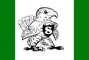 Soulsbyville Elementary School Falcons logo