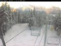 Bear Valley Polar Webcam Image