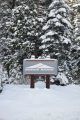 DodgeRidge-11-17-15