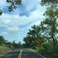 A section of the Highway 4 Wagon Trail area in Calaveras County between Pool Station Road and Highway 49.