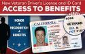Califronia Veteran's License