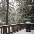 Snow in Arnold