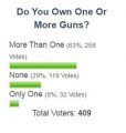 Gun Ownership Poll