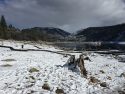 Pinecrest Lake Snow 12/14/15