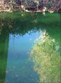 Possible neon hazardous material in Woods Creek