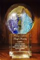 FNL-Mentoring Program Award