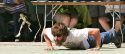 2016 Calaveras County Fair and Jumping Frog Jubilee