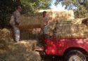 Volunteers Spreading Straw in Butte Fire burn scar