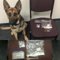 Tuolumne County K9 Hans with latest drug bust, Feb. 26, 2016