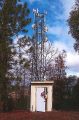 Cell Tower Vernal Drive Groveland
