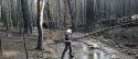 Destruction from the Rim Fire burn scar