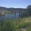 New Melones 4-18-16-2