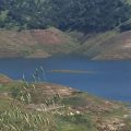 New Melones