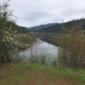 New Melones Reservoir