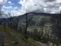 Rim Fire Burn Area - Cherry Oil Road near Camp Mather