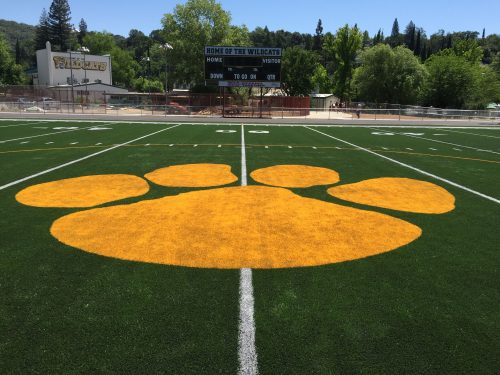 Homecoming Week As Mother Lode League Play Opens - Vimarsana News