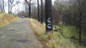 County's marking designating dead trees within the Butte Fire burn scar