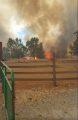 Cheyenne Fire, CAL Fire Image