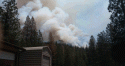 Dove Fire