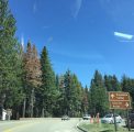 Yosemite Near Glacier Point