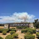 Appaloosa Fire