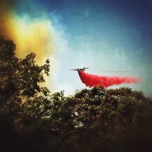 Appaloosa Fire