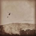 Appaloosa Fire