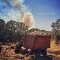 Appaloosa Fire