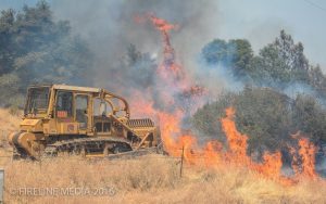 Appaloosa Fire
