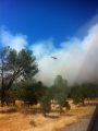 Stagecoach Fire
