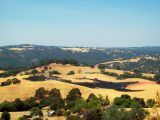 Vegetation Fire at Moke Hill