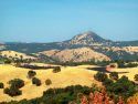 Vegetation Fire at Moke Hill
