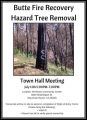 Butte Fire Town Hall Meeting
