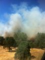 Stagecoach Fire