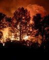 Fire off Mono Way