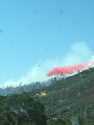Appaloosa Fire