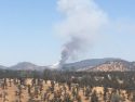 Appaloosa Fire