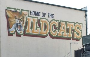 Wildcats Logo Sonora High School