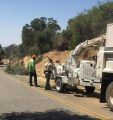 Dead Tree Removal On Lyons Bald Mountain Road