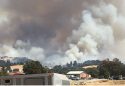 Willow Fire