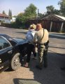 Jamestown Chase Arrest