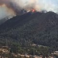 Marshes Fire From New Priest Grade