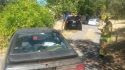 Mustang chase