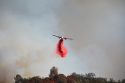 Marshes Fire