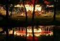 “Country Nights and Carnival Lights” theme for 2017 Calaveras County Fair and Jumping Frog Jubilee