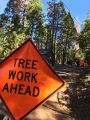 Tree Work sign