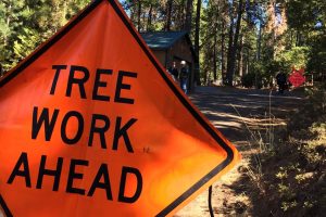 Tree Work sign