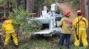 Cal Fire crews removing dead trees