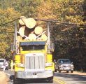 Truck Into Powerlines On Kewin Mill Road