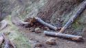 Landslide blocking Lumsden Road in the Stanislaus National Forest
